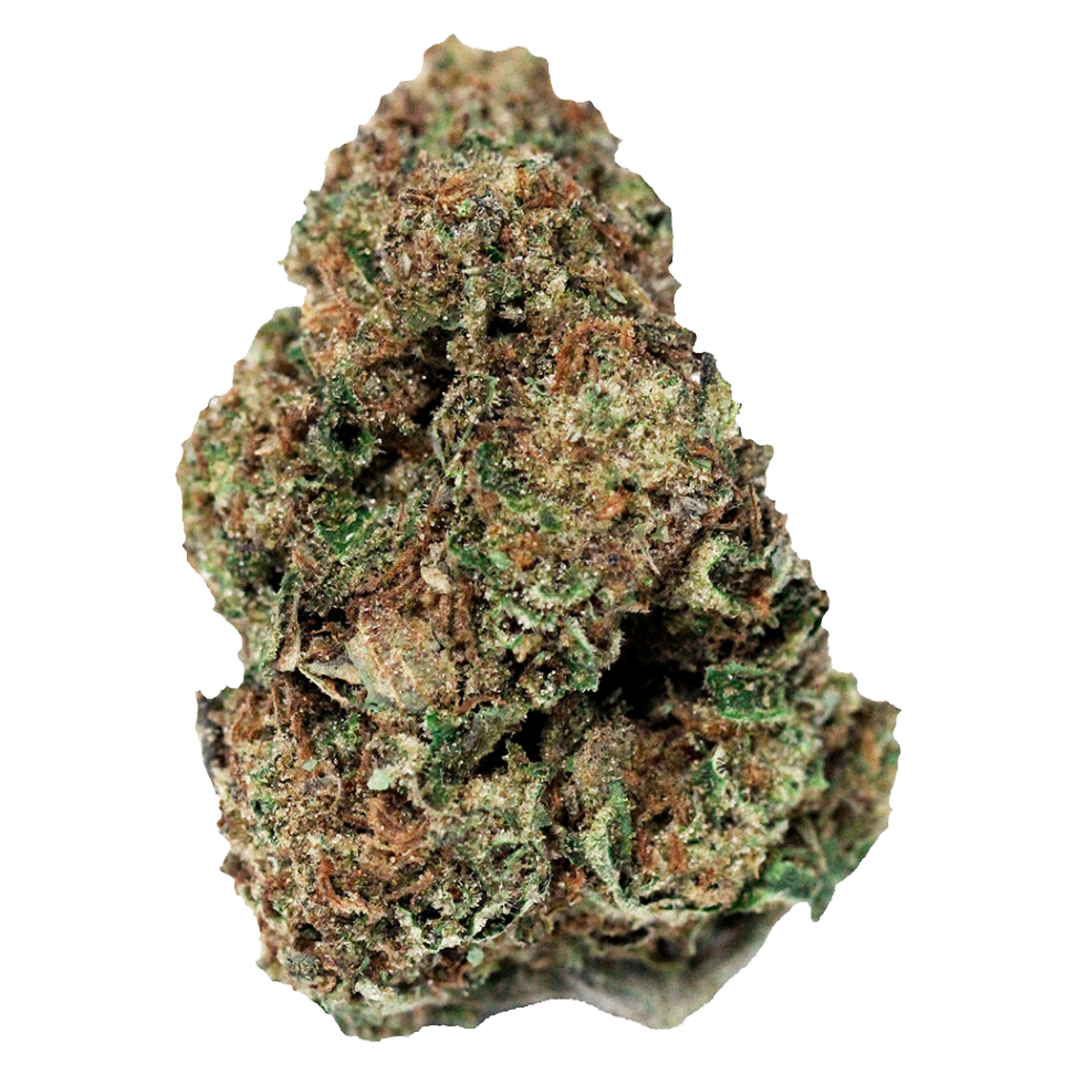 Northern Lights